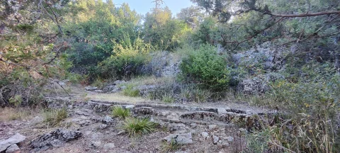 Abrevadero tradicional de piedra integrado en la ladera boscosa de Fuenteportillo