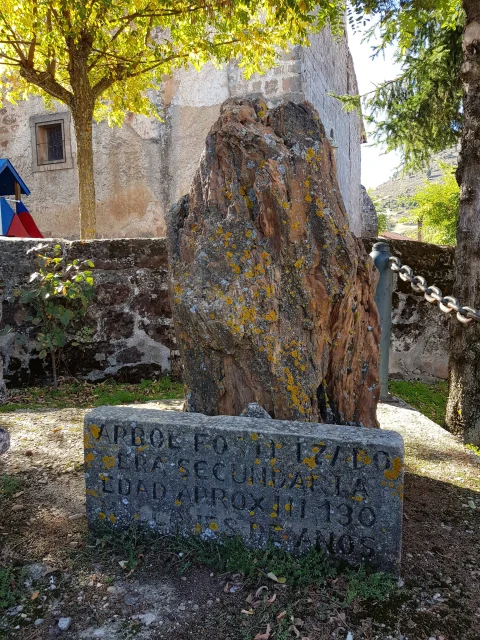 Tronco de árbol fosilizado con placa explicativa de piedra de la era secundaria en Contreras