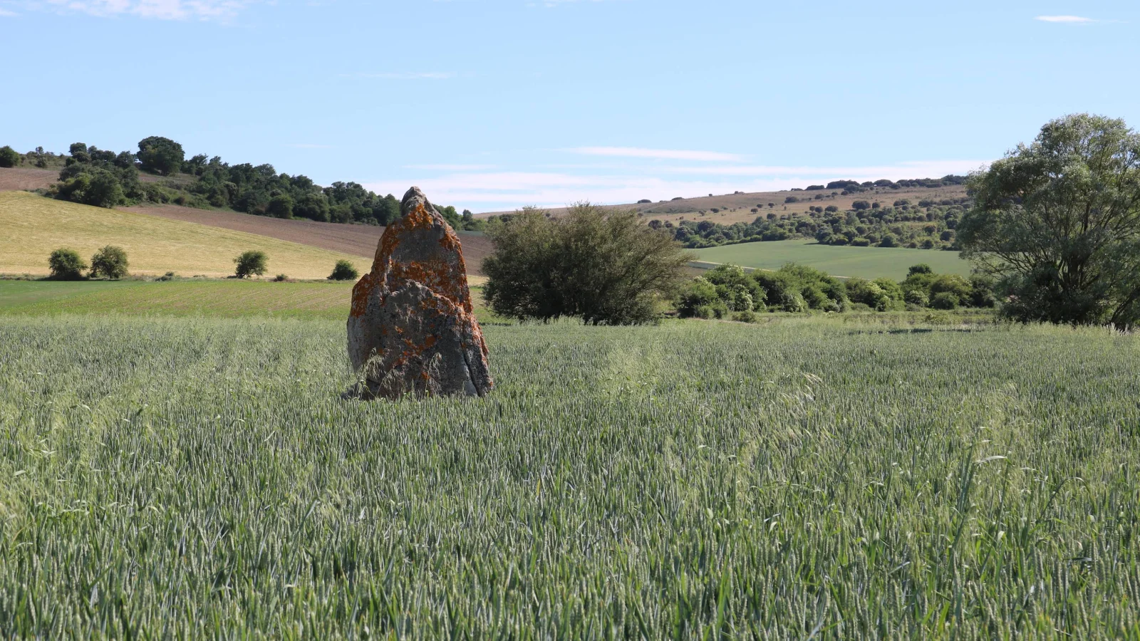 Menhir de Fin de Rey