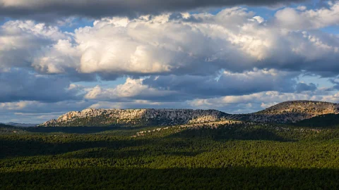 Paisaje del Parque Natural Sabinares del Arlanza con bosque, relieves calizos y cielo nublado