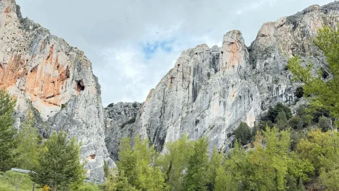 Parque Natural Sabinares del Arlanza-La Yecla