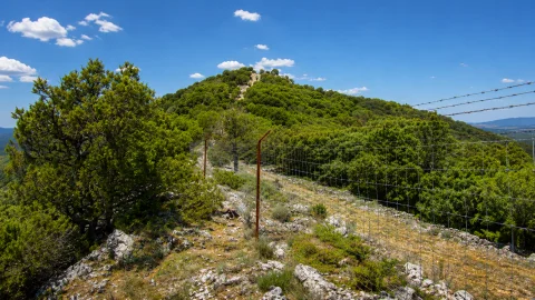 Alto Castillejo (1254 m) - Sierra del Gayubar