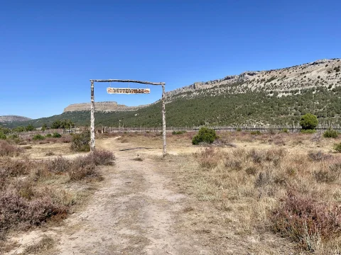 Camino de tierra hacia la entrada de madera del campo de prisioneros de Betterville