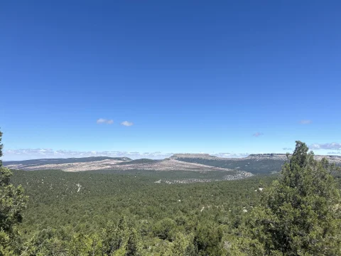 Panorámica de bosque de sabinas y relieves calizos desde el entorno de Peñáguila