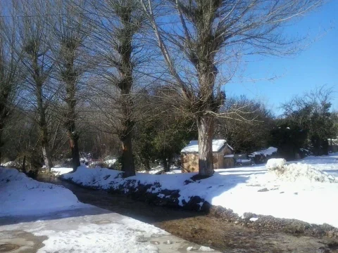 Fuente tradicional de piedra rodeada de árboles y nieve en Carazo