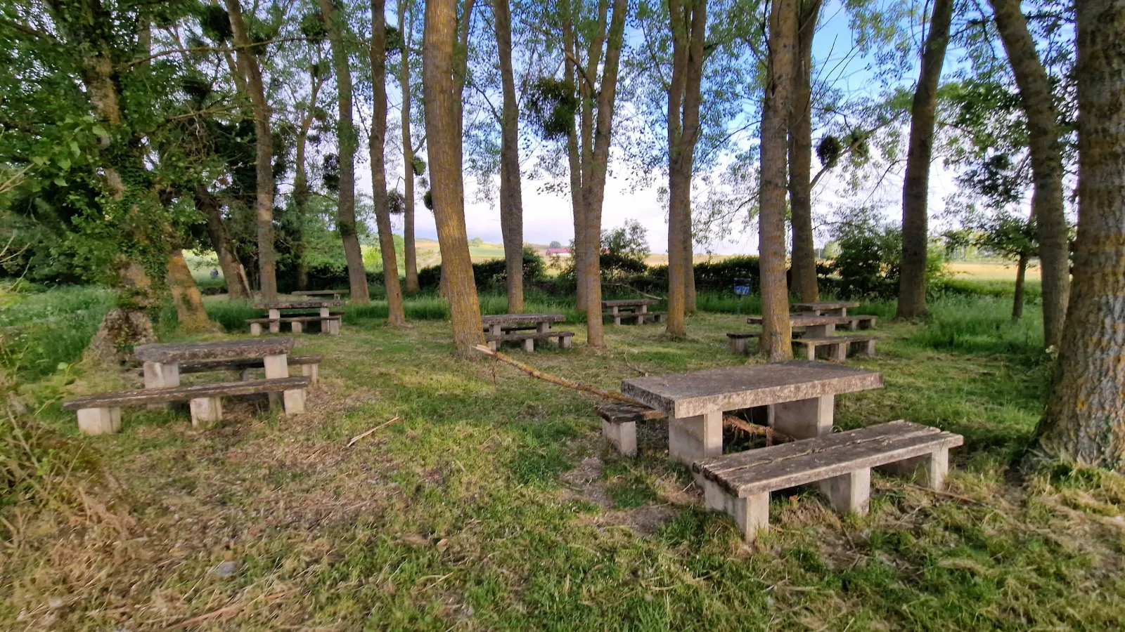 Área de Descanso de Atapuerca