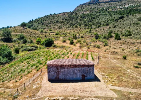 Vista aérea de la ermita visigótica de San Juan Bautista al pie de la ladera en Barbadillo del Mercado