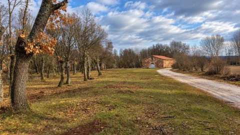 Camino de tierra y robledal junto a la ermita de Villavieja en Barbadillo del Mercado