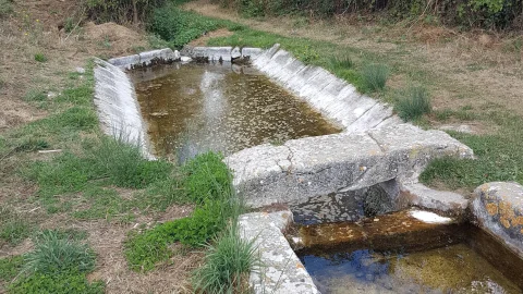 Fuente del pueblo - Olmos de Atapuerca