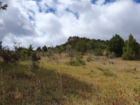 Pradera y monte con sabinas hacia el relieve rocoso del Cuerno de Gete bajo cielo nuboso