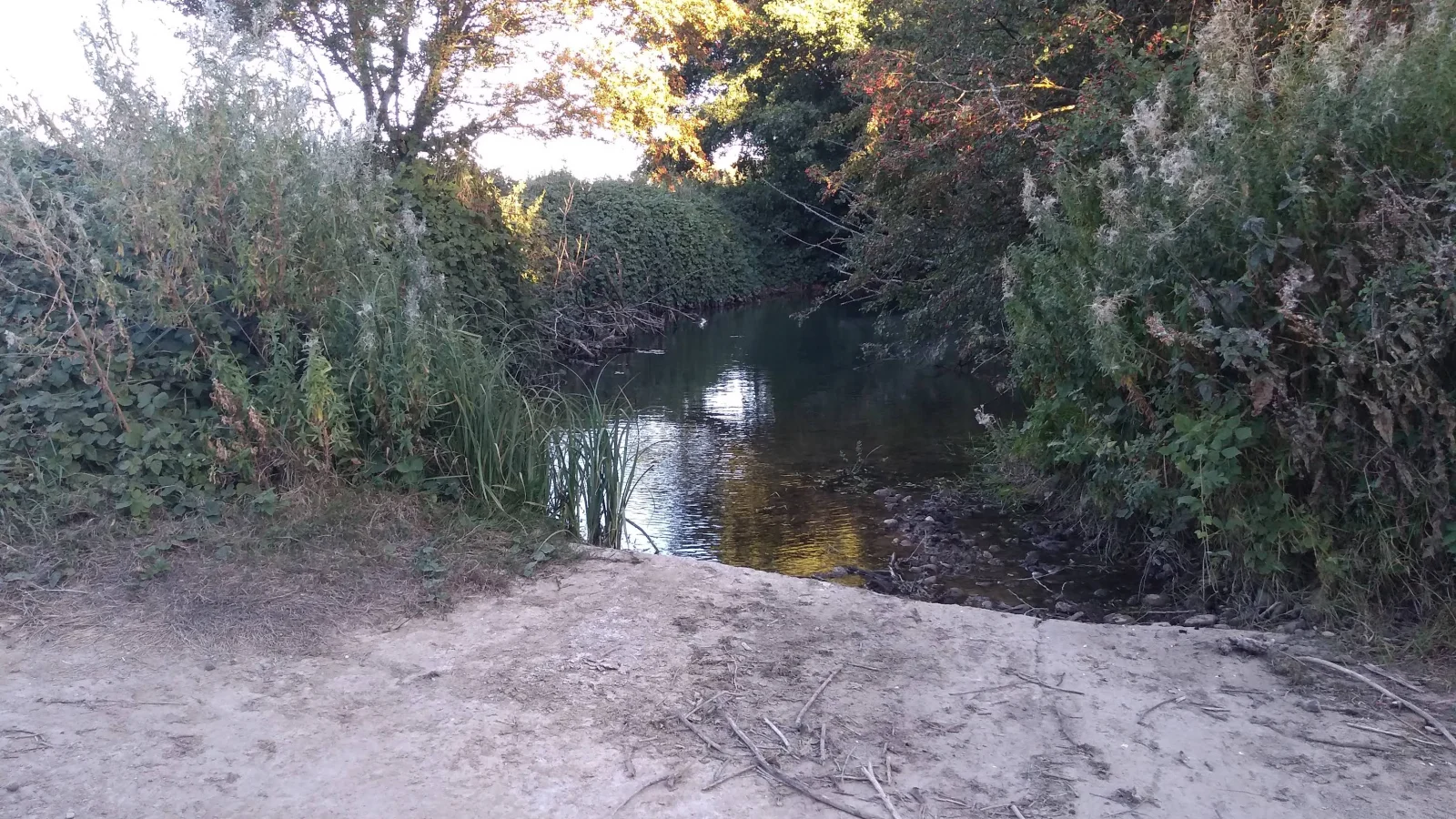 Paso del Río Vena