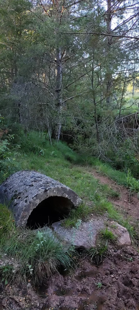Manantial Fuente de los Caños