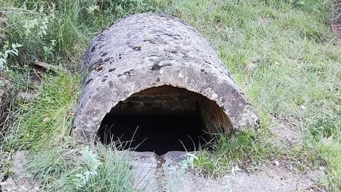 Fuente de los Caños
