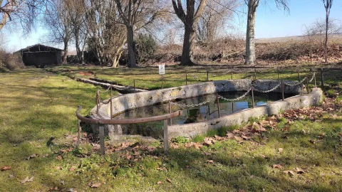 Fuente Cubillo