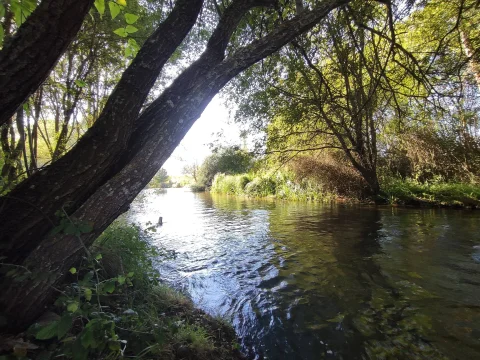 Fluvial del río Arlanzón