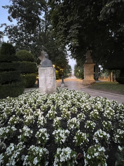 Vista trasera del busto de Marceliano Santa María rodeado por un manto de flores blancas hacia el paseo
