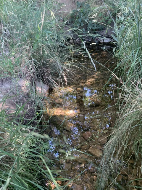 Agua cristalina del manantial