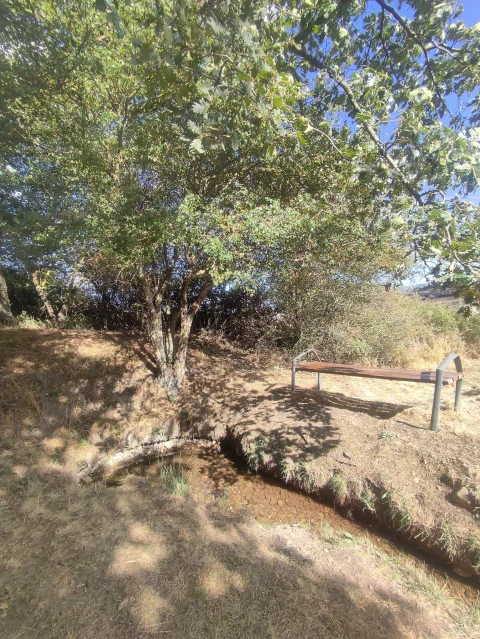 Otra vista de la fuente manantial