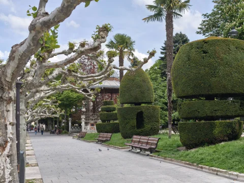 Andén peatonal flanqueado por plátanos de sombra, bancos de madera y topiarias frente al quiosco