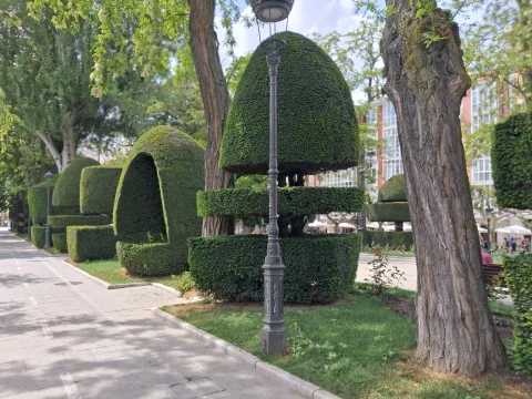 Conjunto de tejos esculpidos con formas topiarias de arco y cúpula junto a una farola de forja
