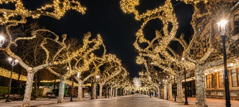 Iluminación navideña de guirnaldas doradas envolviendo los plátanos entrelazados con el Arco al fondo