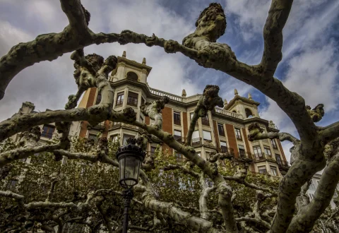 Paseo del Espolón (perspectiva contrapicada frente al Círculo de la Unión)