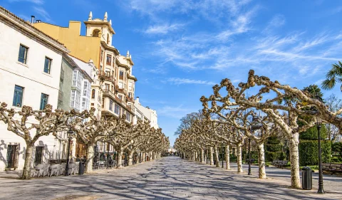 Paseo peatonal soleado bordeado de árboles con ramas entrelazadas y edificios burgaleses blancos