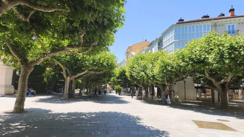 Perspectiva amplia del paseo arbolado junto a fachadas tradicionales burgalesas en un día despejado