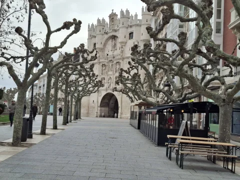 Perspectiva invernal hacia el Arco de Santa María flanqueada por plátanos podados y terraza acristalada