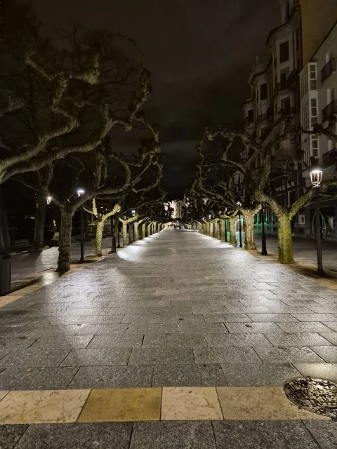 Perspectiva nocturna del paseo desierto con pavimento iluminado por farolas y ramas entrelazadas