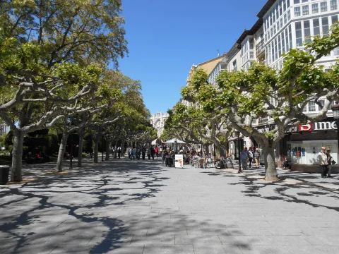 Perspectiva soleada del paseo con terrazas de hostelería, plátanos entrelazados y el arco al fondo