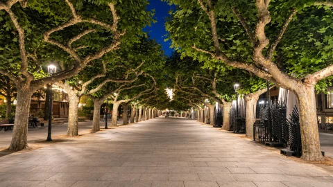 Paseo del Espolón