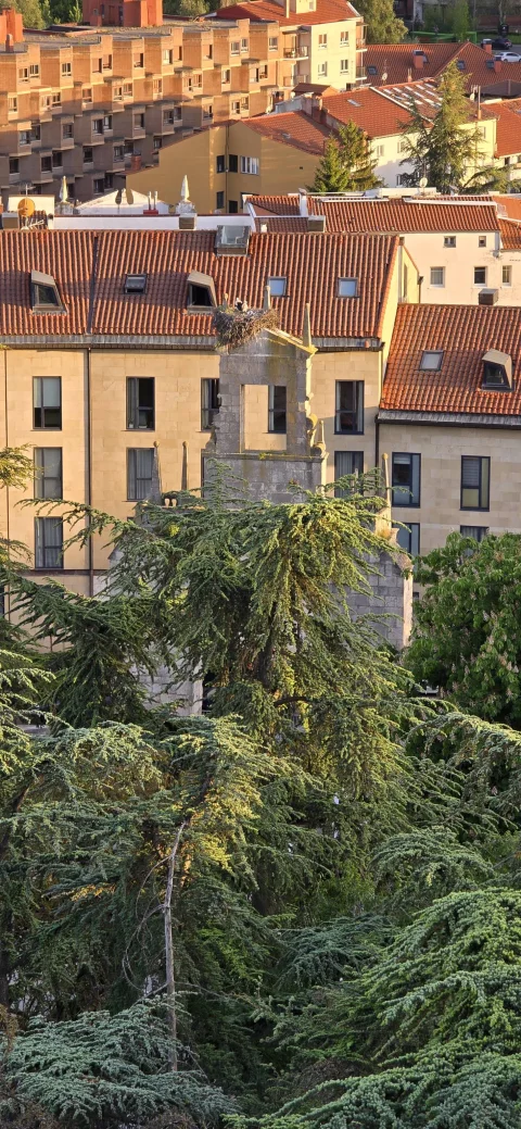 Panorámica lejana del arco y los tejados de la ciudad