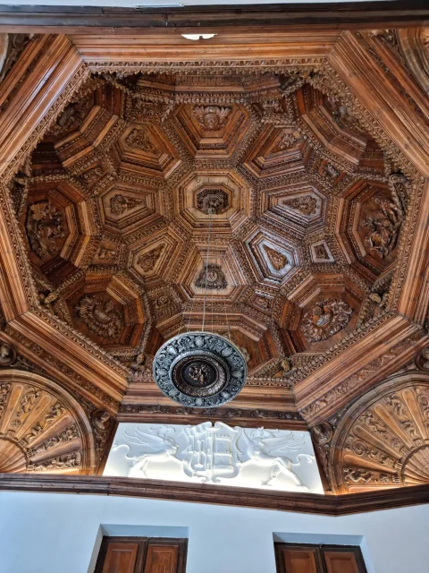 Artesanado de madera en el techo del Palacio de Castilfalé