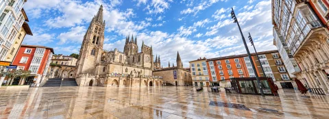 Gran panorámica de la catedral gótica dominando la plaza con sus agujas, arquerías y reflejos en el pavimento