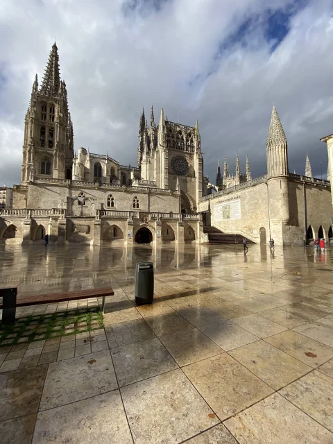 Vista angular de la fachada sur de la catedral con el suelo mojado reflejando la torre gótica y el cimborrio