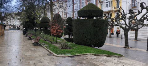 Parterre con setos en topiaria escalonada y plátanos de sombra podados frente a edificios burgaleses