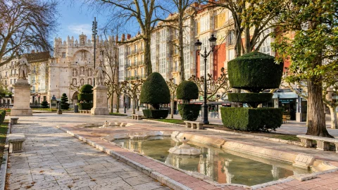 Estanques ornamentales