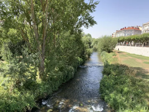 Corriente de agua fluyendo entre frondosos árboles y orillas verdes con casas del paseo urbano a la derecha