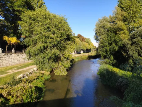 Río flanqueado por densos árboles verdes y sauces que tocan el agua junto a sendas de ribera bajo cielo azul