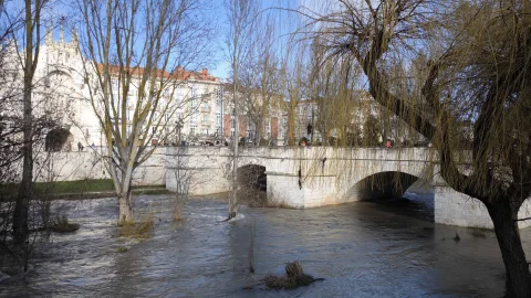Vista de los arcos y pilas del Puente de Santa María cruzando el caudaloso río Arlanzón entre sauces y álamos