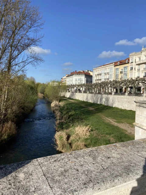 Vista de la ribera del río Arlanzón desde el pretil de piedra del puente con los árboles podados del paseo