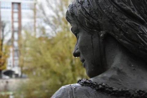 Detalle de perfil del rostro de bronce con gotas de lluvia y fondo arbolado desenfocado