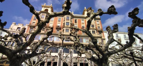 Perspectiva angular del edificio de torreones enmarcado por las ramas entrelazadas de los plátanos del Espolón