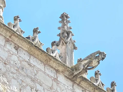 Detalle de gárgola y pináculos ornamentales en la cornisa