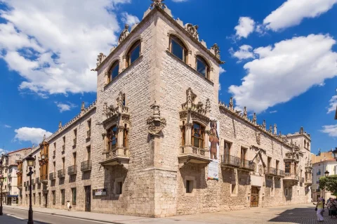 Vista general del Palacio de los Condestables de Castilla (Casa del Cordón)