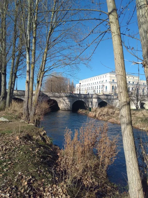 Cauce fluvial del Arlanzón entre álamos con el Puente de San Pablo y el Teatro Principal al fondo