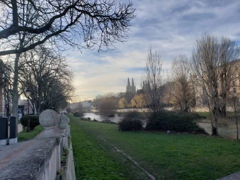 Riberas de un río con césped y árboles desnudos con las agujas góticas de una catedral al fondo