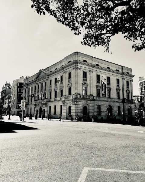Vista en blanco y negro del Palacio de la Diputación Provincial enmarcado por ramas de árboles