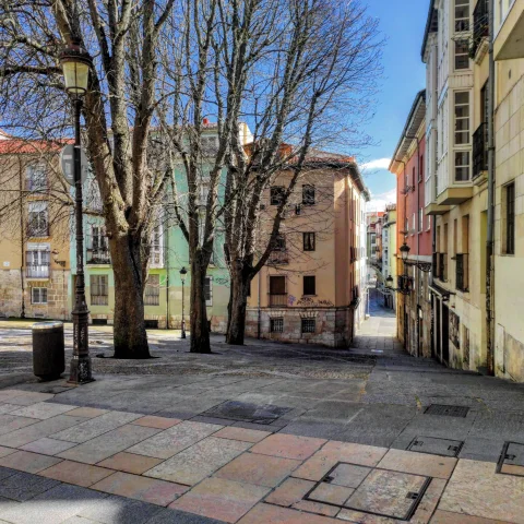 Perspectiva hacia abajo de una calle peatonal empinada flanqueada por castaños de Indias